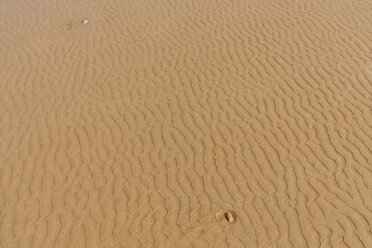 Morocco, rippel marks in the sand - MMAF00528