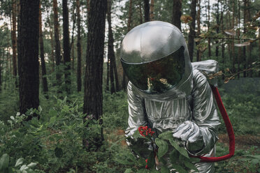 Spaceman exploring nature, examining plants - VPIF00565