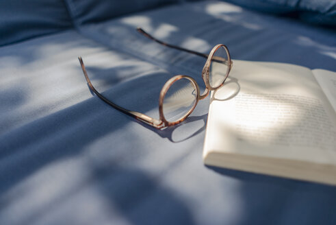 Brille und Buch auf der Couch liegend - KNSF04628