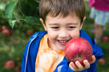 Little boy holds an apple up in front of his face and smiles - AURF02463