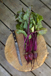 Still life of beets and knife. - AURF02556