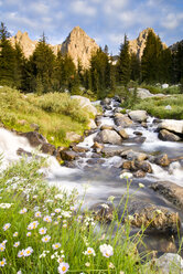 Frühlingsblumen und fließendes Wasser unterhalb von Mount Ritter und Banner, Ansel Adams Wilderness Area, Sierra Nevada, Kalifornien - AURF02559