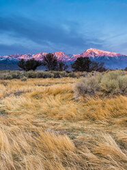 Sonnenaufgang am Mount Tom und Basin Mountain - AURF02592