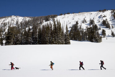 Eine Gruppe von vier Skitourengehern fährt im Beehive Basin in der Nähe von Big Sky, Montana, Ski. - AURF02654