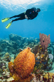 Ein männlicher Taucher erforscht einen Trommelschwamm und Korallen, St. Lucia. - AURF02693