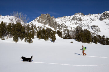 A male backcountry skier and his dog skin in the Beehive Basin near Big Sky, Montana. - AURF02719