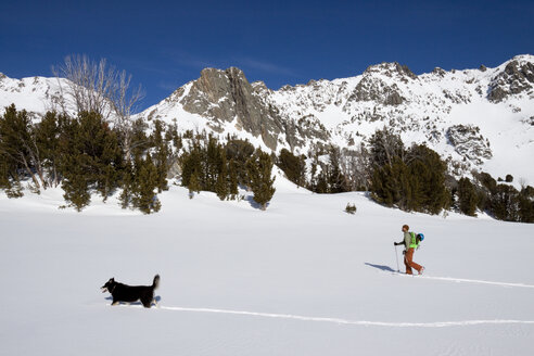 Ein männlicher Skiläufer und sein Hund ziehen im Beehive Basin in der Nähe von Big Sky, Montana, ein Fell über die Ohren. - AURF02719