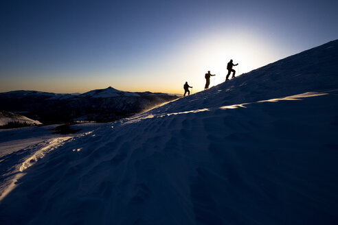 Drei Skitourengeher, die sich im Licht des Sonnenaufgangs abzeichnen. - AURF02749