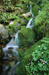 Tuolumme River Watershed. - AURF02787