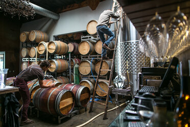 Winzer bei der Arbeit in der Carruth Winery in San Diego, CA. - AURF02848