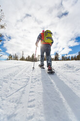 Colorado Schneeschuhwandern - AURF03103