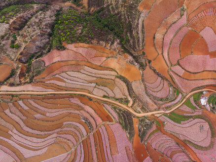 China, Yunnan province, Dongchuan, Red Land - KKAF01534