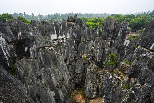 China, Shilin, Steinwald - KKAF01551