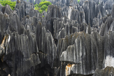 China, Shilin, Steinwald - KKAF01553