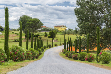 Italien, Toskana, Monsummano Terme, Landstraße - JUNF01185