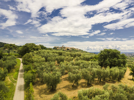 Italien, Toskana, Monsummano Terme - JUNF01190