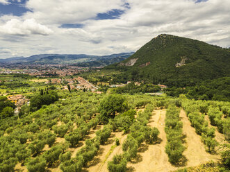 Italy, Tuscany, Monsummano Terme - JUNF01192