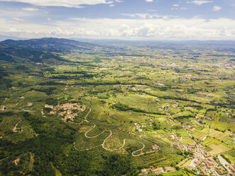 Italien, Toskana, Monsummano Terme - JUNF01194