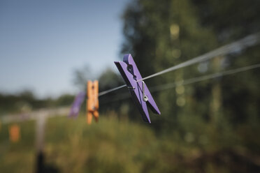 Clothes pegs hanging on washing line - KMKF00442