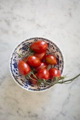 Frische Tomaten aus Ligurien, Italien. - AURF03149