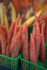 Fresh Carrots for sale at a local farm market. - AURF03175