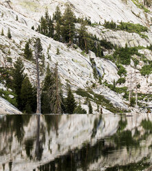 Grand Canyon of the Tuolumne, Yosemite National Park - AURF03191