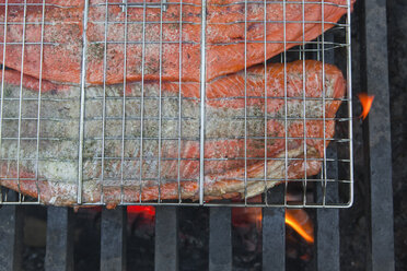 Freshly caught sockeye salmon filets grill over a fire at a campground on the Copper River near Chitina, Alaska. - AURF03211