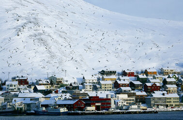 Honningsv├Ñg is the northernmost city on the mainland of Norway. - AURF03219