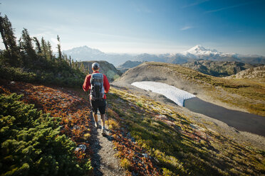 Hiking in North Cascades National Park - AURF03249