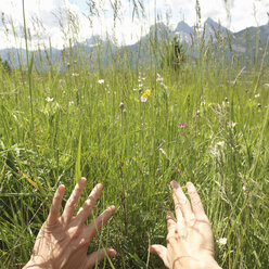 POV to hands pulling back grasses to reveal mountains - AURF03285