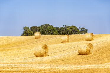 United KIngdom, East Lothian, field with straw bales - SMAF01160