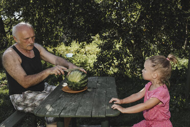 Kleines Mädchen sieht ihrem Großvater zu, wie er im Garten eine Wassermelone in zwei Hälften schneidet - KMKF00478