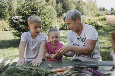 Senior woman with grandson and granddaughter enjoying harvested vegetables in the garden - KMKF00486