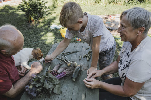 Großeltern im Garten mit Enkel und Hund - KMKF00487