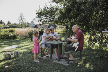 Grandparents spending time together with grandson and granddaughter in the garden - KMKF00489