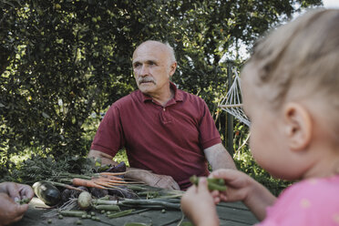 Portrait of senior man spending time with familiy in the garden - KMKF00490