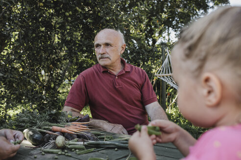 Porträt eines älteren Mannes, der Zeit mit seiner Familie im Garten verbringt - KMKF00490