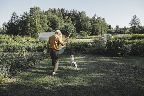 Senior man playing with dog in garden - KMKF00512