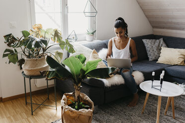 Young woman sitting on the couch at home using laptop - LHPF00002