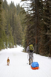 Man skis with his dog in the winter - AURF03356