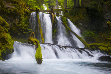 Lower Panther Creek Falls - AURF03372