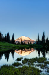 Mount Rainier spiegelt sich im Teich bei Sonnenaufgang, Mount Rainier National Park - AURF03452