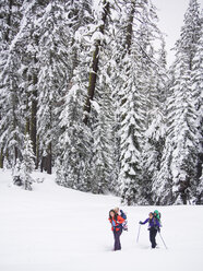 Skifahrer, die mit Kindern auf dem Rücken durch einen Kiefernwald fahren - AURF03535