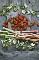 Rhabarberstängel, Erdbeeren und Apfelblüten auf Holz - ASF06228