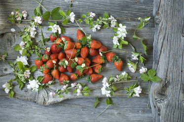 Apple blossom twigs and strawberries on wood - ASF06229