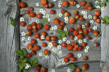 Erdbeeren und Blüten auf Holz - ASF06233