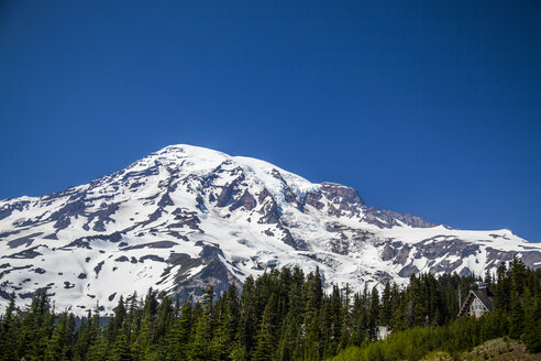 Ein Blick auf den Mount Rainier National Park, Washington, USA, an einem sonnigen Tag. - AURF03729