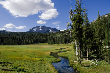 Ein kleiner Fluss fließt durch den Lassen National Park in Kalifornien. - AURF03761