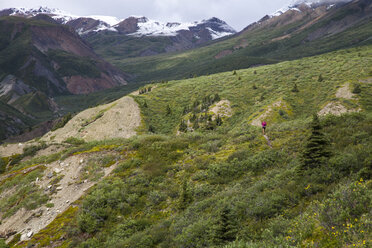 Eine Frau läuft im Kluane-Nationalpark, Yukon-Territorium, Kanada, einen Trail. - AURF03803