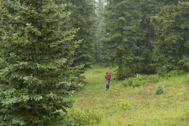 A woman hiking in a rainstorm on Molas Pass, San Juan National Forest, Silverton, Colorado. - AURF03811